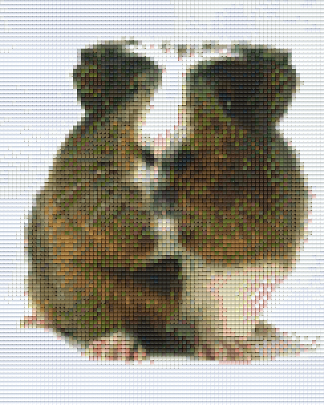 Pixelhobby Klassik Set - Meerschweinchen