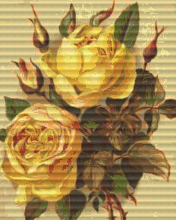 Pixelhobby Klassik Set - Contesse