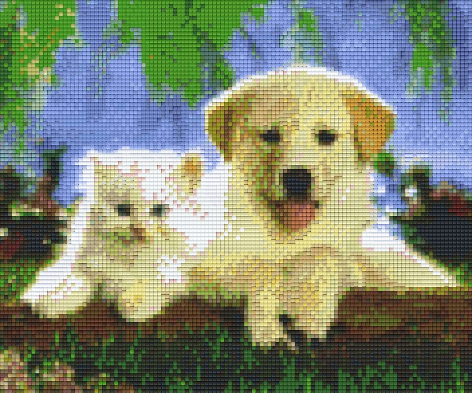 Pixelhobby Klassik Set - Hund und Katze