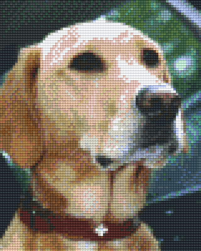 Pixelhobby Klassik Set - Goldi