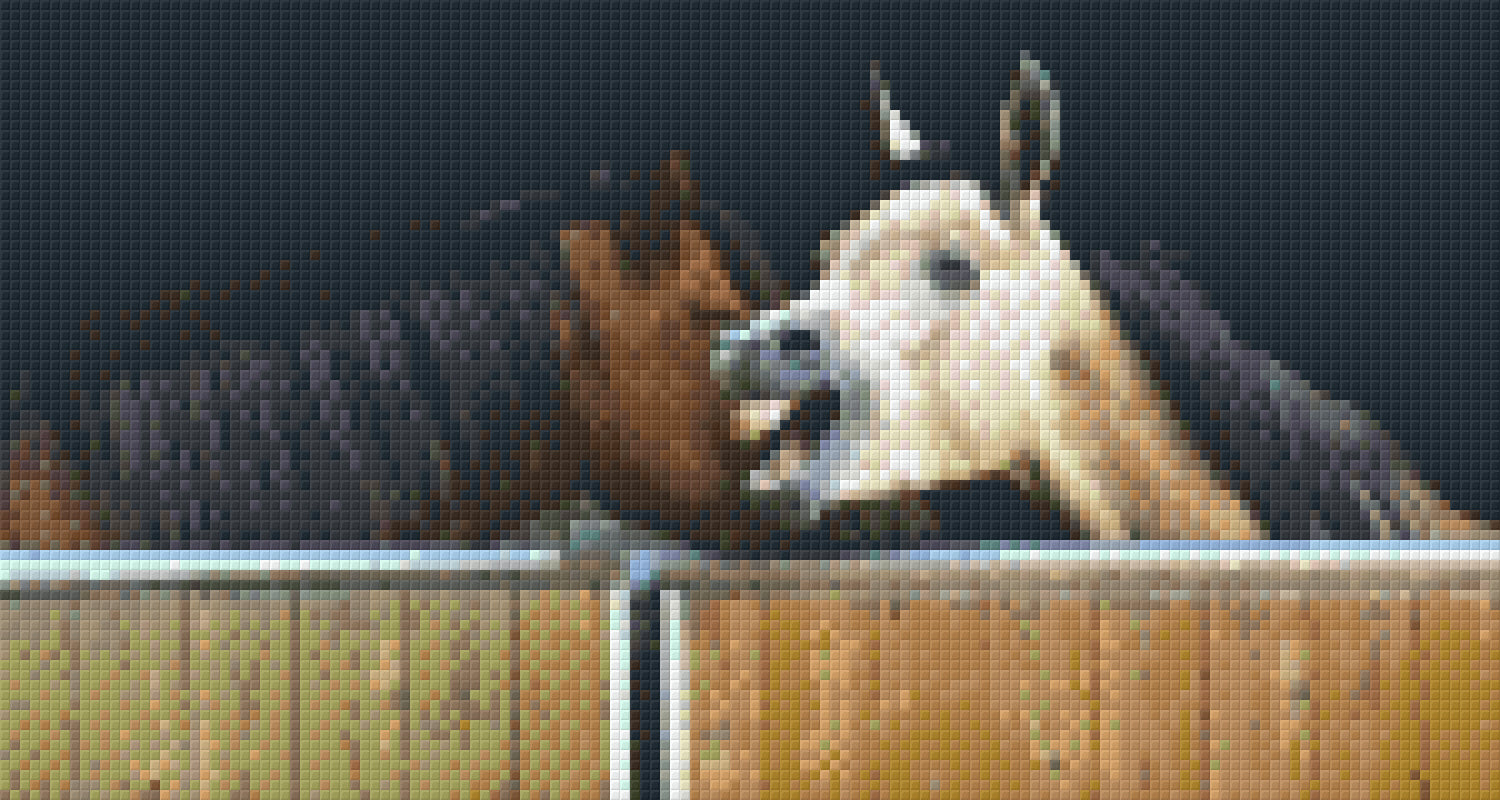 Pixel Hobby Classic Set - Ying & Yang 2