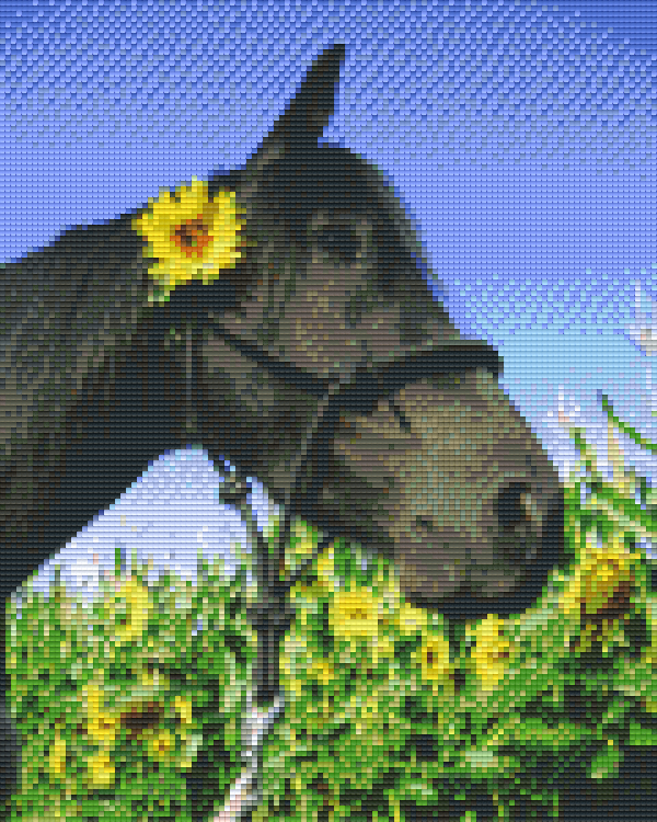 Pixelhobby Klassik Set - Flower Horse