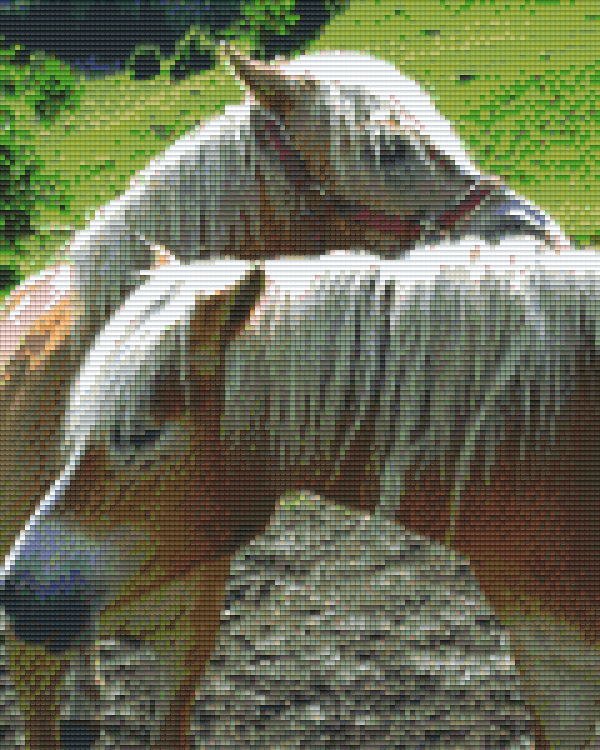 Pixelhobby Klassik Set - Zwei Ponys