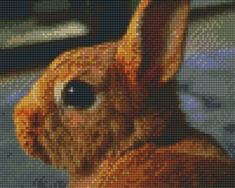 Pixelhobby Klassik Set - Hase