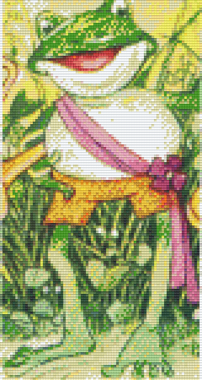 Pixelhobby Klassik Set - Ein Frosch