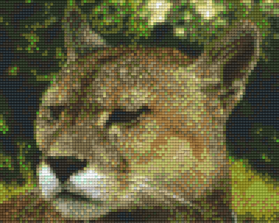 Pixel hobby classic set - wild cat