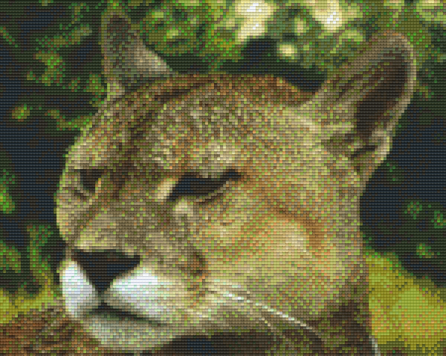 Pixelhobby Klassik Set - Wildkatze