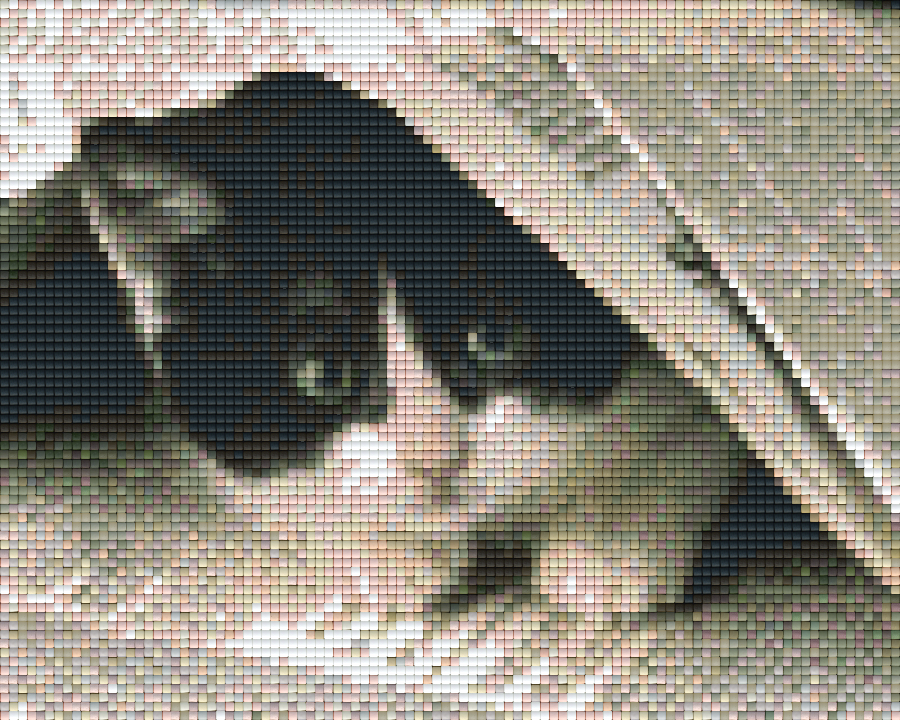 Pixelhobby classic set - newspaper cat