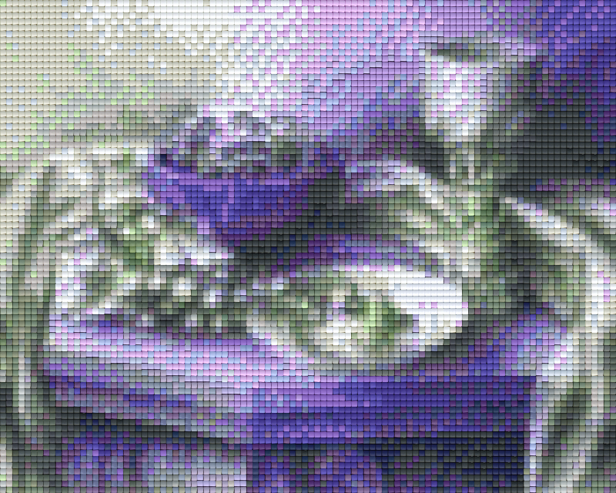 Pixelhobby Klassik Set - Stilleben mit Früchten in lila