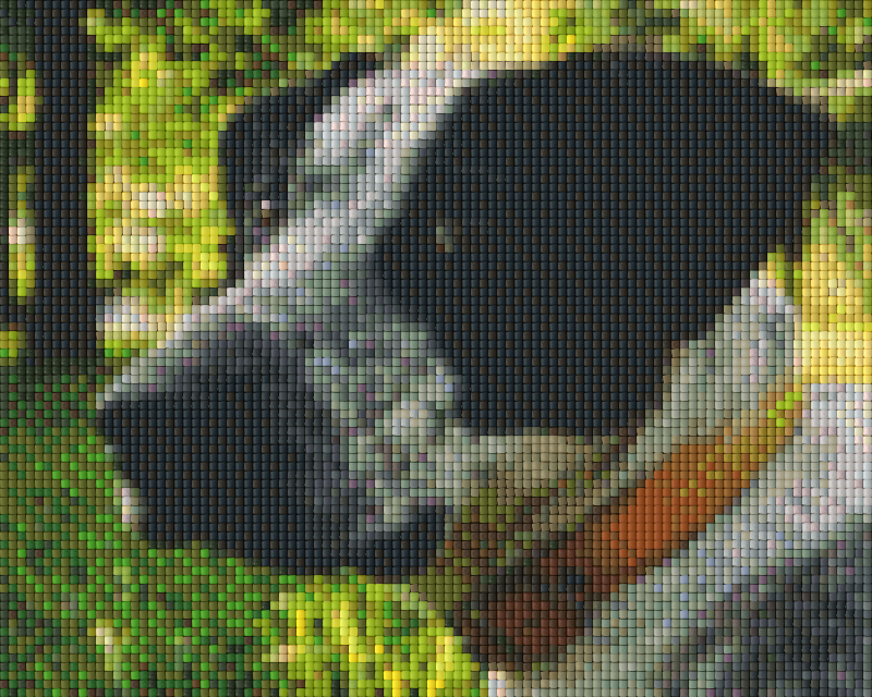 Pixelhobby Classic Set - Our dog Jo