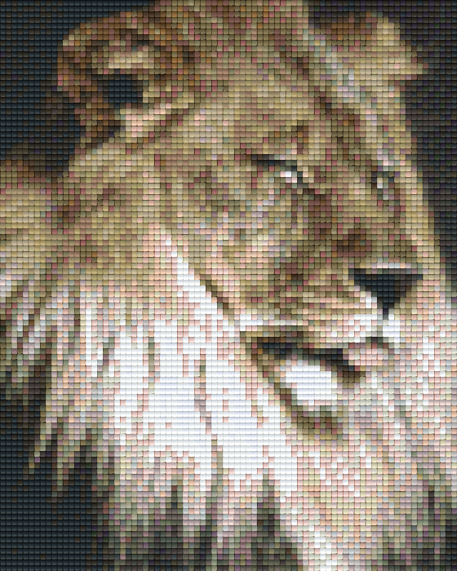 Pixelhobby Klassik Set - Löwenkopf