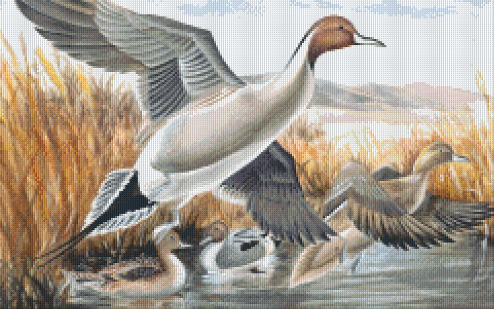 Pixelhobby Klassik Vorlage - Enten