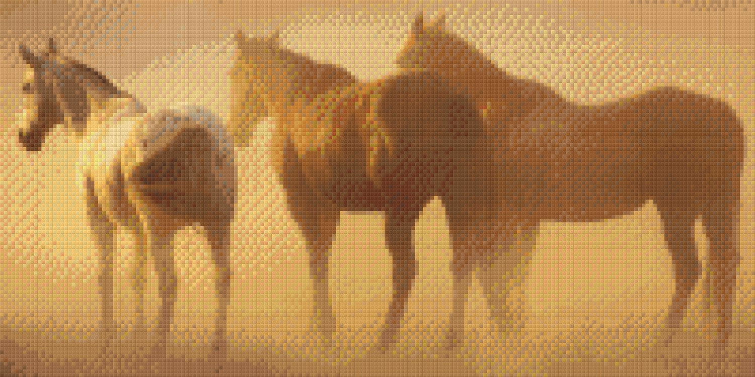 Pixelhobby Klassik Vorlage - Pferde im Sonnenuntergang