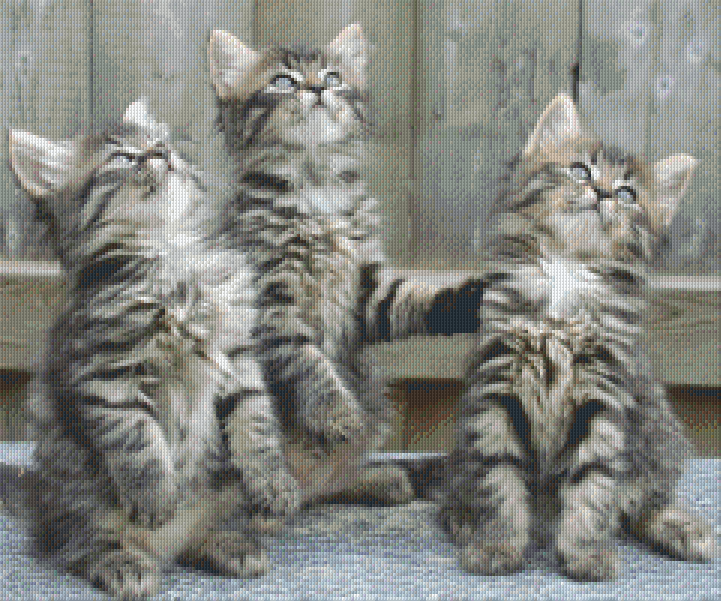 Pixelhobby Classic Set - Three little cats