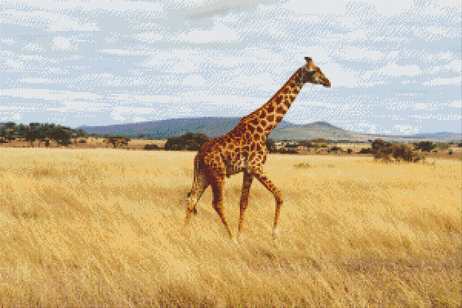 Pixelhobby Klassik Vorlage - Giraffe