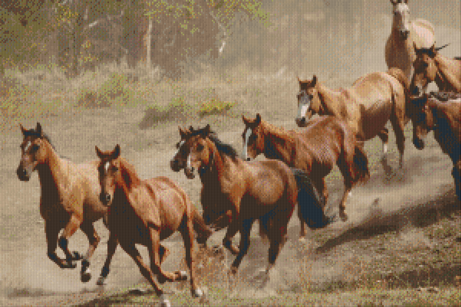 Pixelhobby Klassik Vorlage - Wildpferderennen