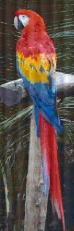Pixelhobby Klassik Vorlage - Papagei