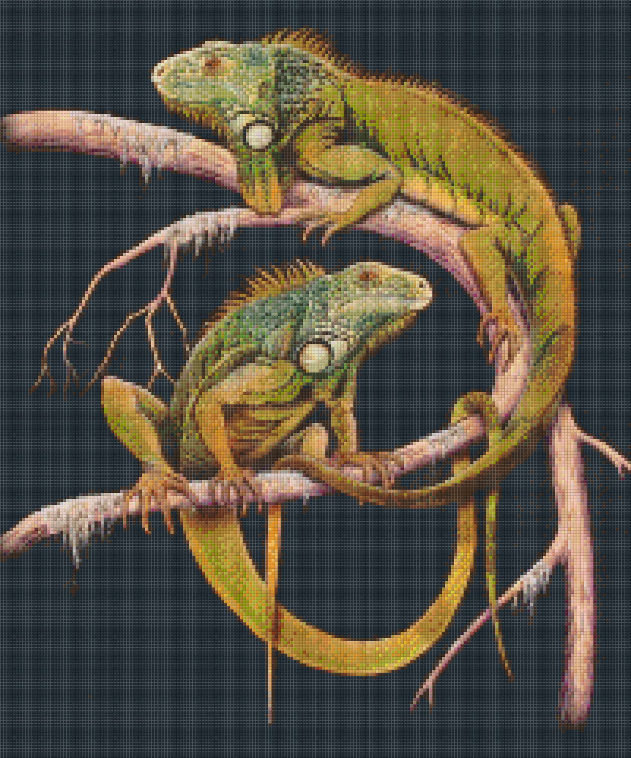 Pixel hobby classic set - iguana