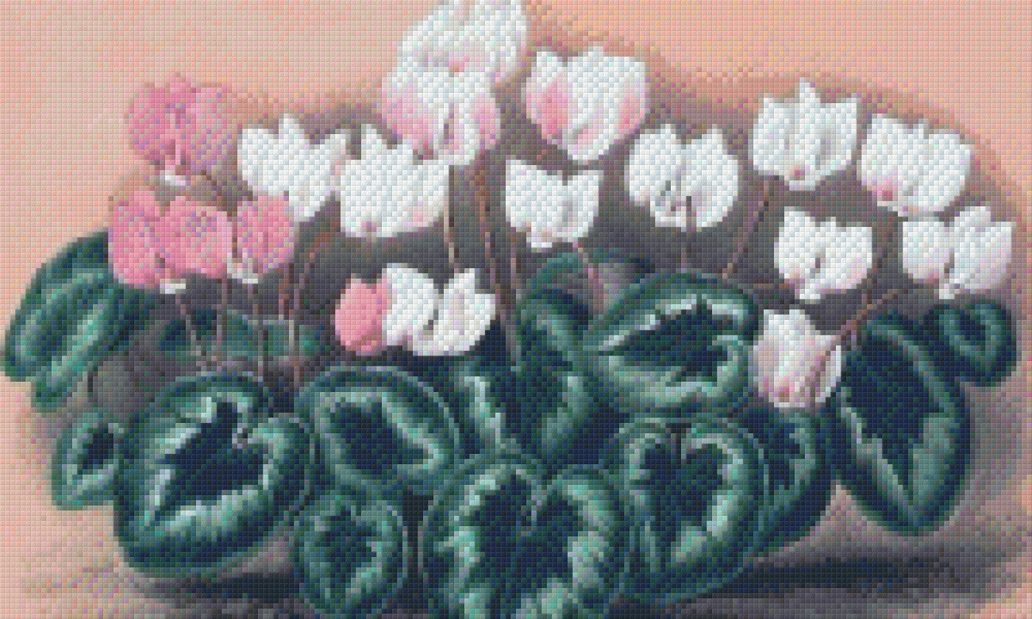 Pixelhobby Klassik Set - Alpenveilchen