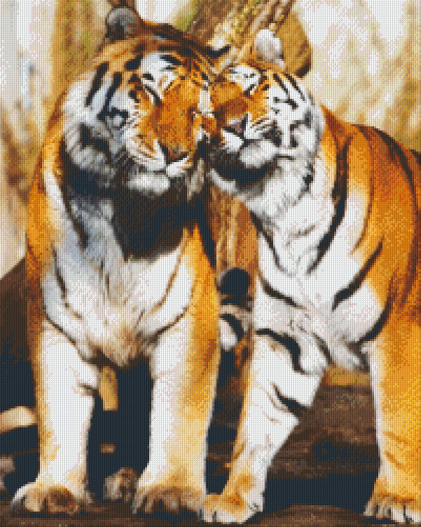 Pixelhobby Classic Set - I like you Tiger