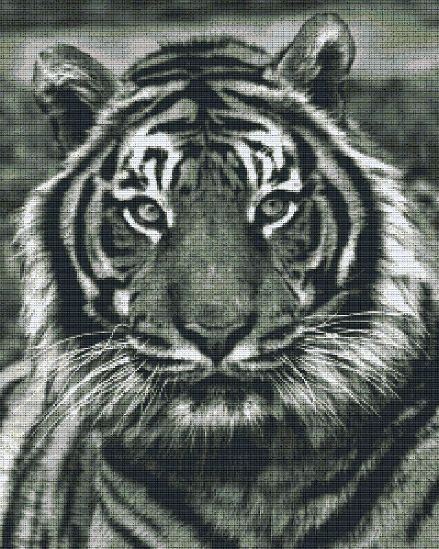 Pixelhobby Klassik Vorlage - Tiger s/w