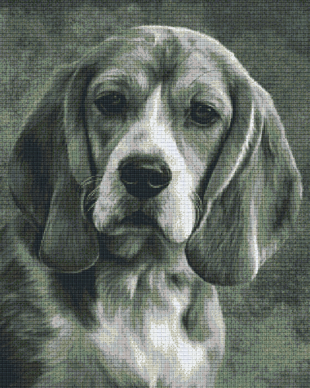 Pixelhobby Klassik Vorlage - Beagle s/w