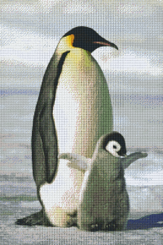 Pixel hobby classic set - penguin family