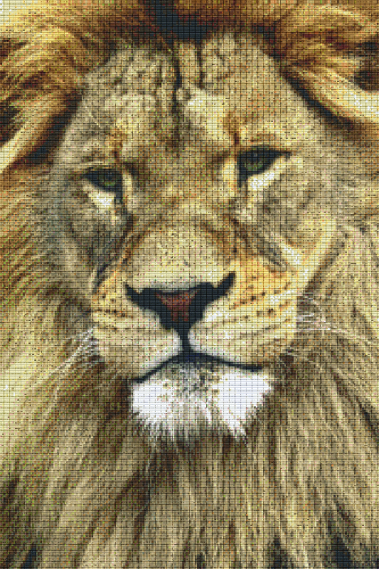 Pixel hobby classic set - lion