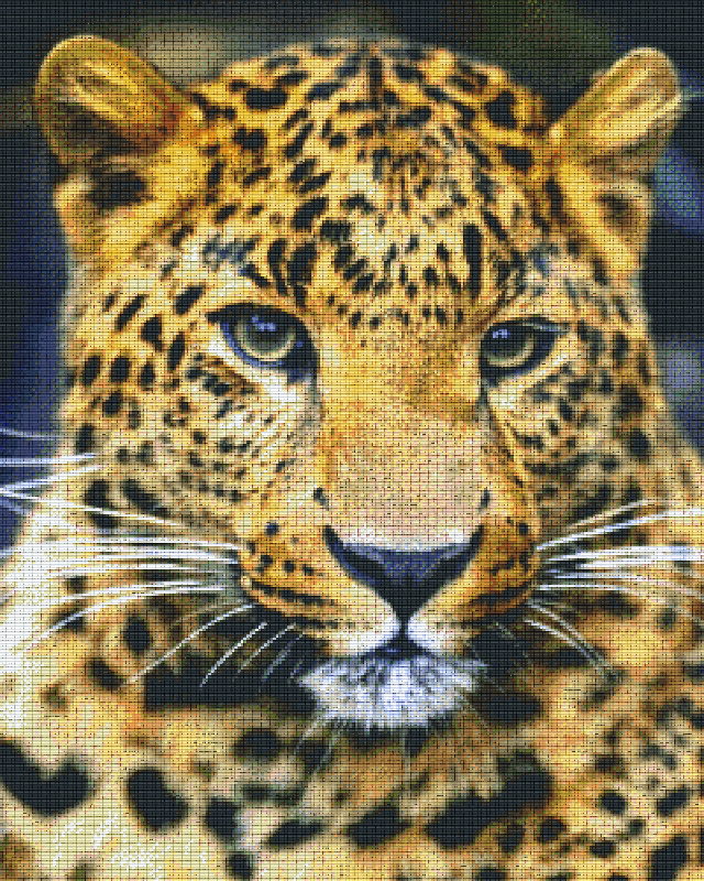 Pixelhobby Klassik Vorlage - Leopard