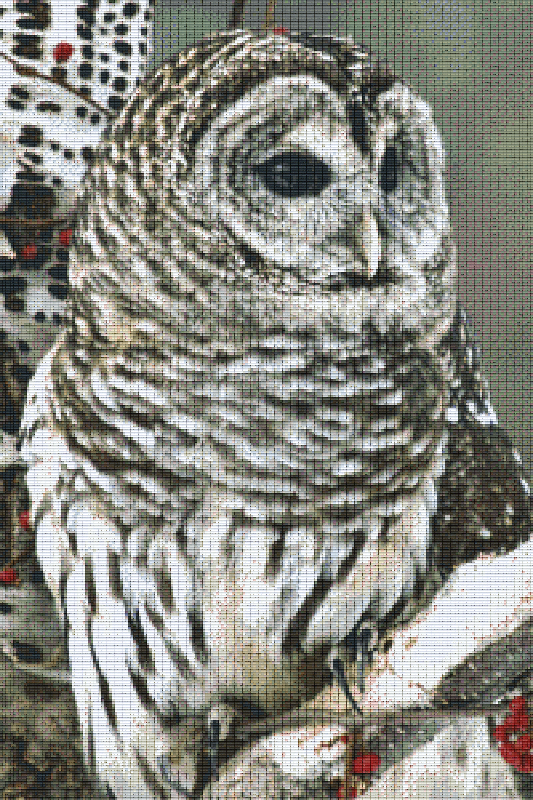 Pixel hobby classic set - owl