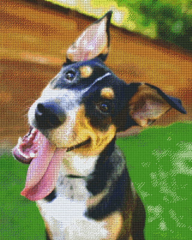 Pixelhobby Klassik Set - Hund