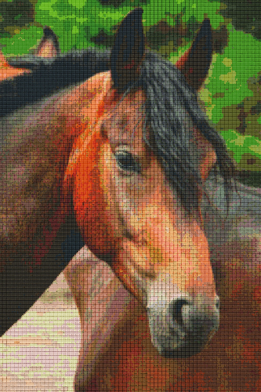 Pixelhobby Klassik Vorlage - Pferd