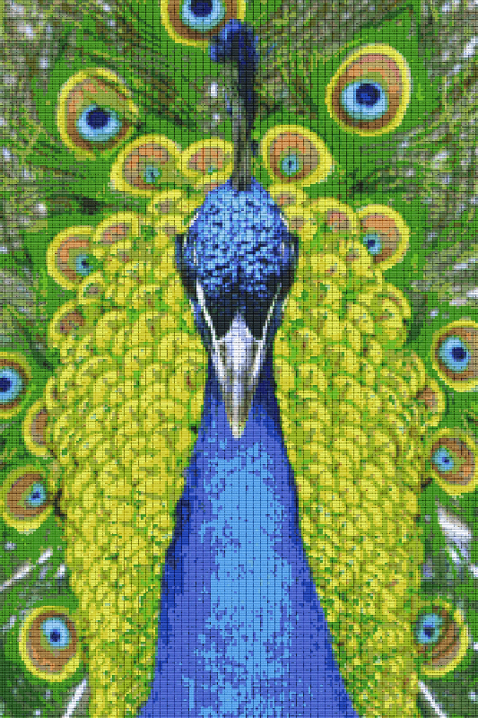 Pixel hobby classic set - peacock