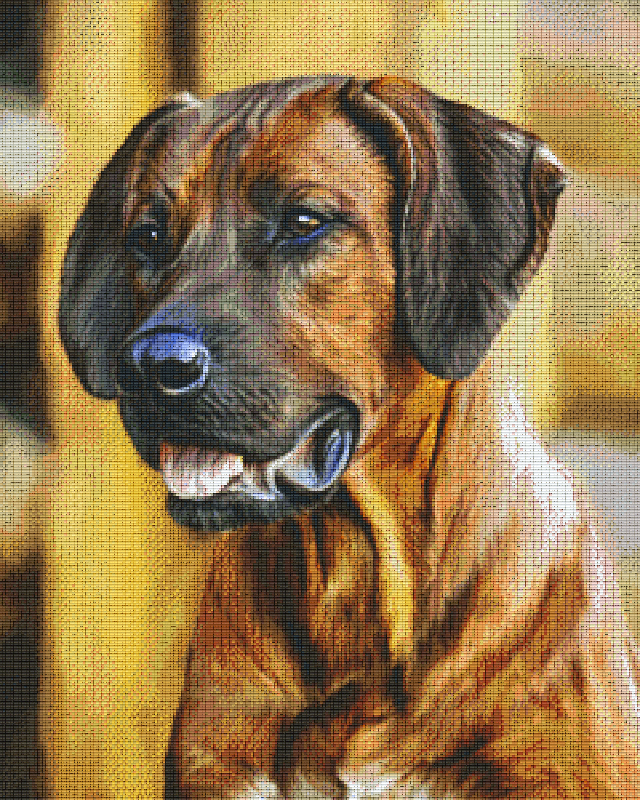 Pixel hobby classic set - dog