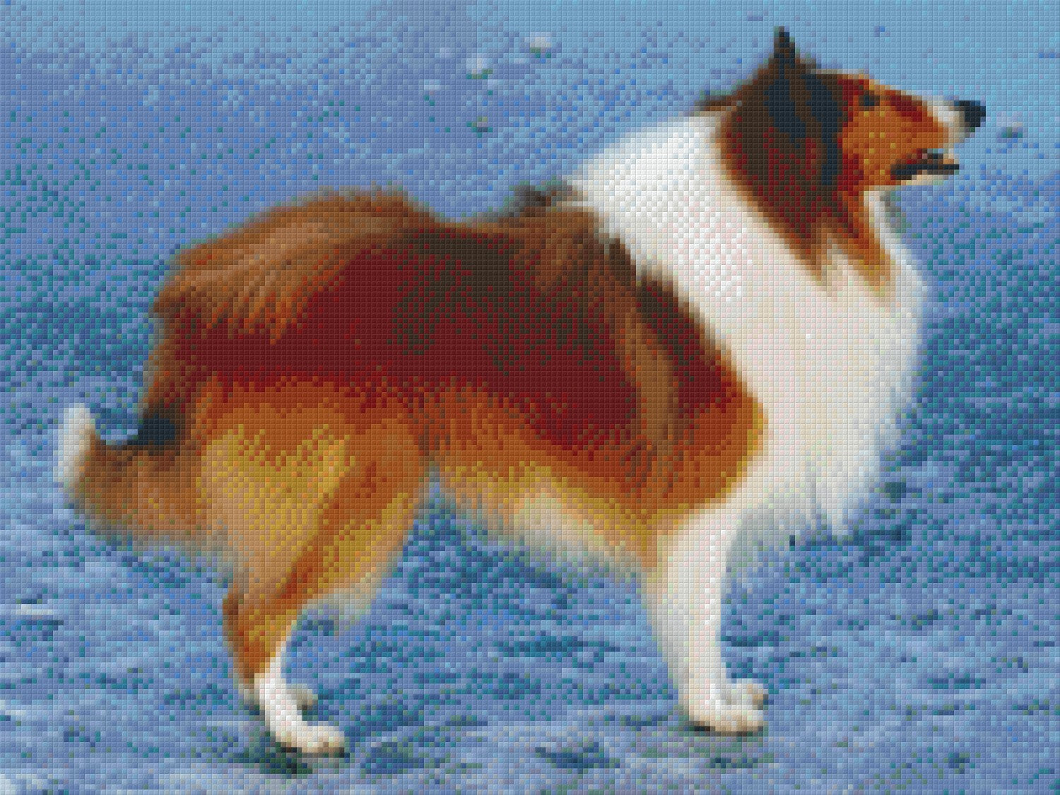 Pixelhobby Klassik Vorlage - Collie