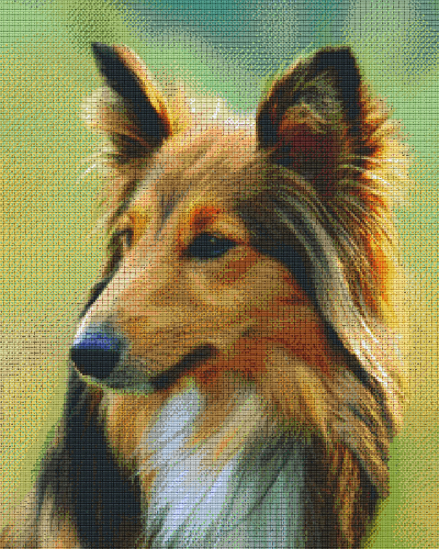 Pixelhobby Klassik Set - Collie