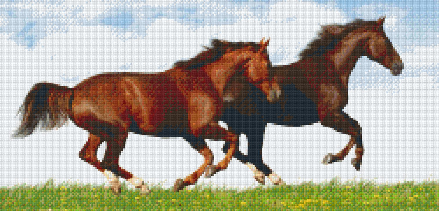 Pixelhobby Klassik Vorlage - Pferdegalopp