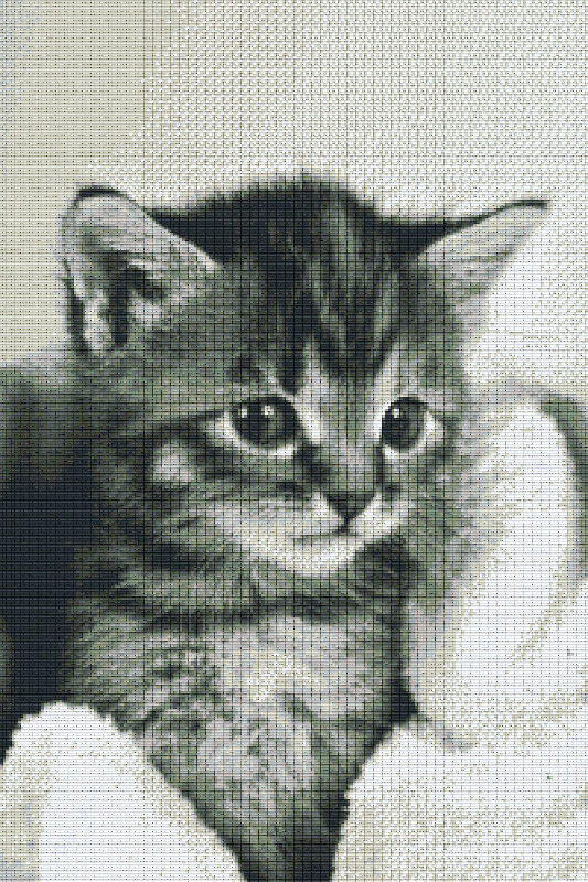Pixelhobby classic set - kitten b/w