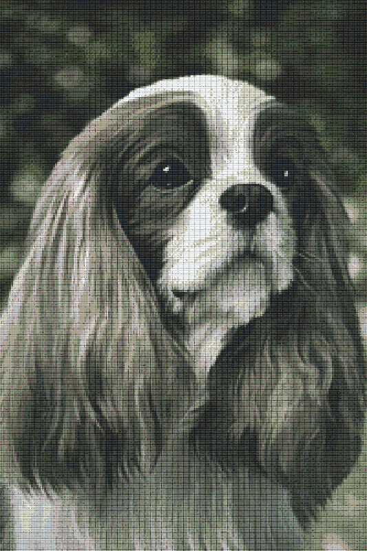 Pixelhobby classic set - dog b/w