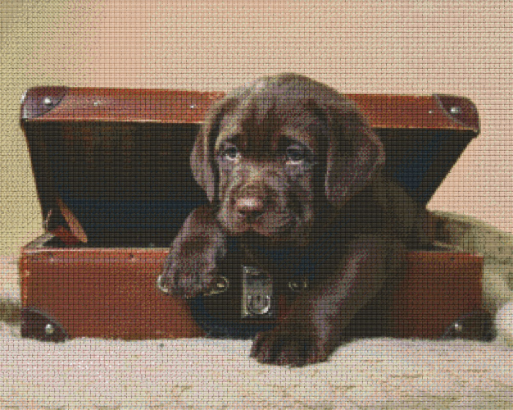 Pixelhobby Klassik Vorlage - Hund im Koffer
