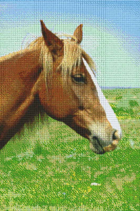 Pixel hobby classic set - horse