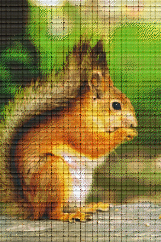 Pixelhobby Klassik Vorlage - Eichhörnchen