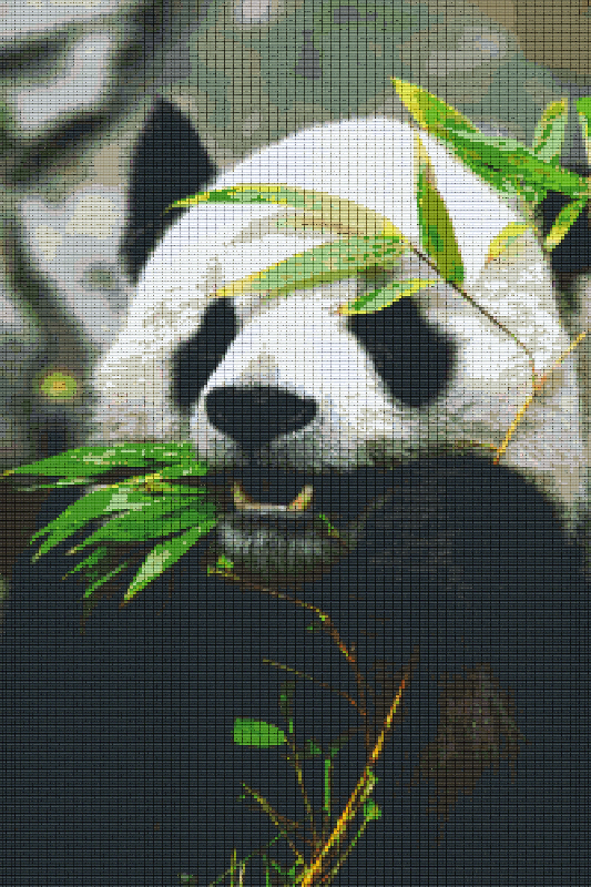 Pixel Hobby Classic Set - Panda