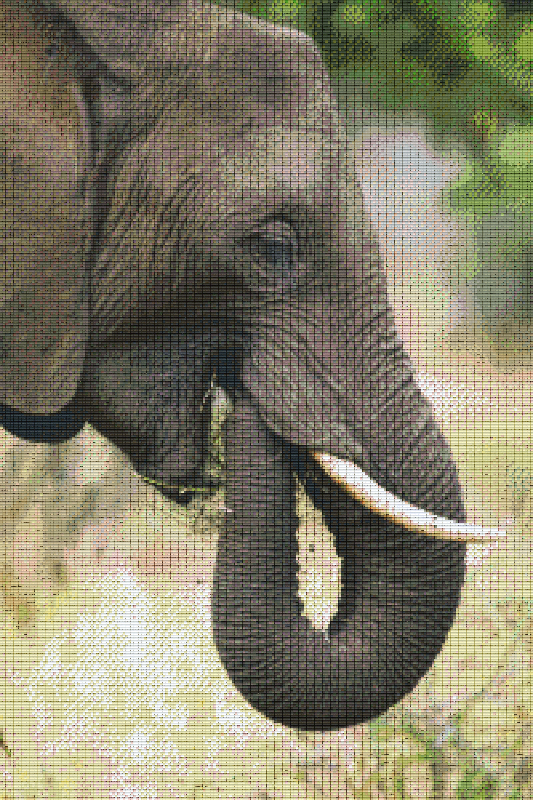 Pixelhobby Klassik Vorlage - Elefant