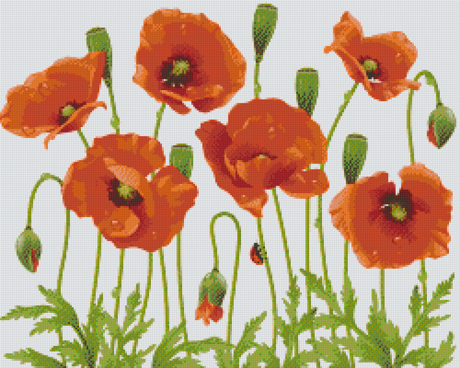 Pixelhobby Klassik Vorlage - Klatschmohn