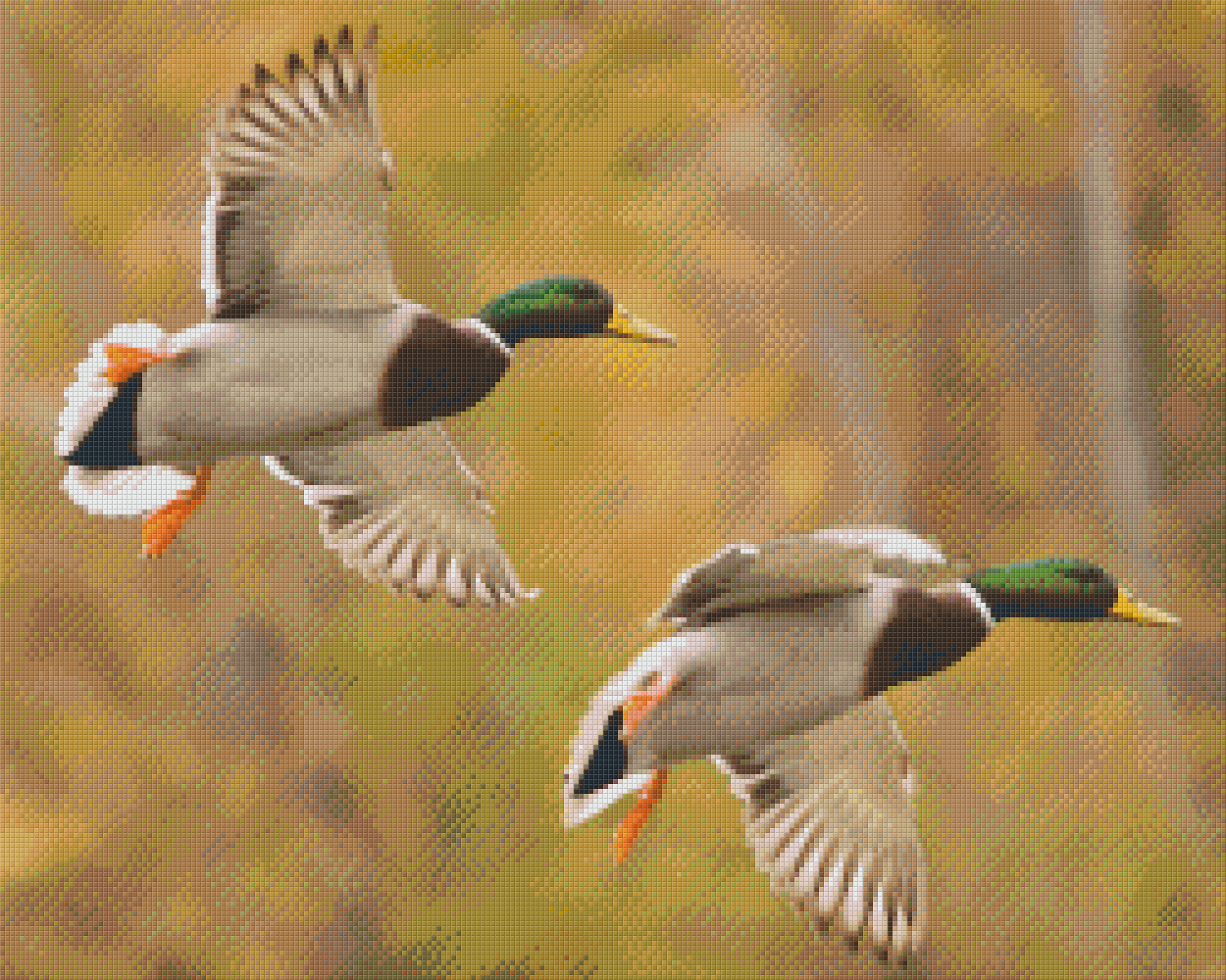 Pixelhobby Klassik Vorlage - Enten im Flug
