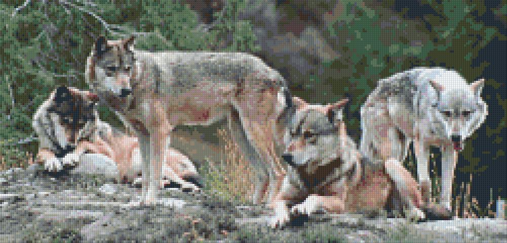 Pixelhobby Klassik Vorlage - Rudel Wölfe