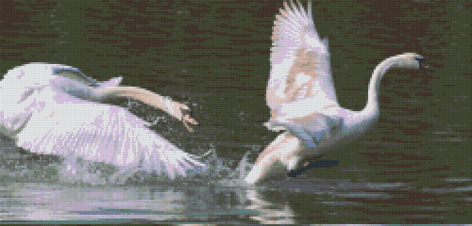 Pixelhobby Klassik Vorlage - Schwanen Kampf