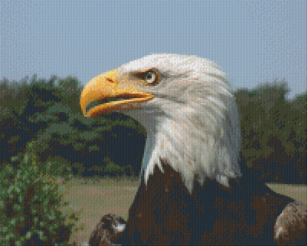 Pixelhobby Klassik Vorlage - Adler