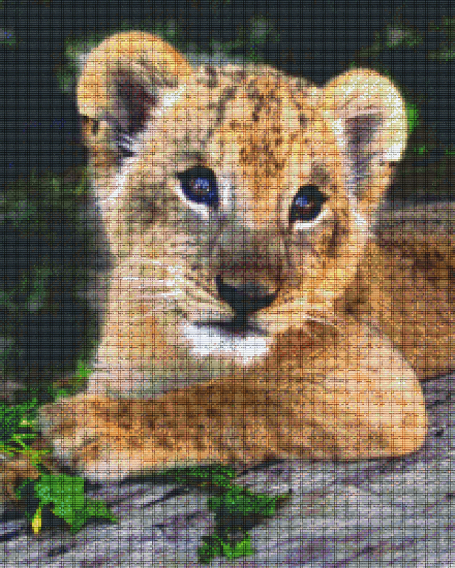 Pixelhobby Klassik Vorlage - Löwenbaby